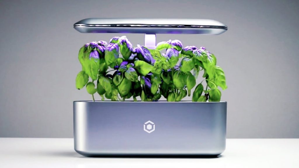 Ava Indoor Smart Garden with built in AI Technology