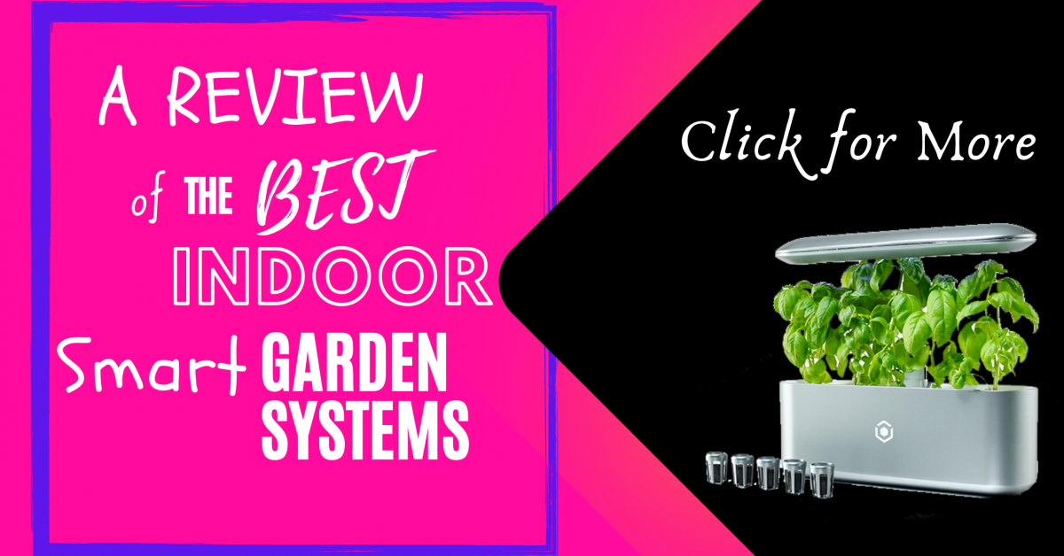 A review of the Best Indoor Smart Garden Systems available on todays market. Ava Byte Grow is demonstrated growing a variety of vegetables, about 12 inches high already!