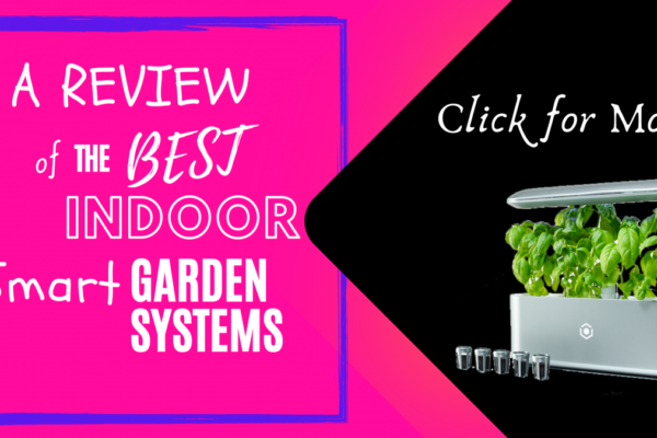 A review of the Best Indoor Smart Garden Systems available on todays market. Ava Byte Grow is demonstrated growing a variety of vegetables, about 12 inches high already!