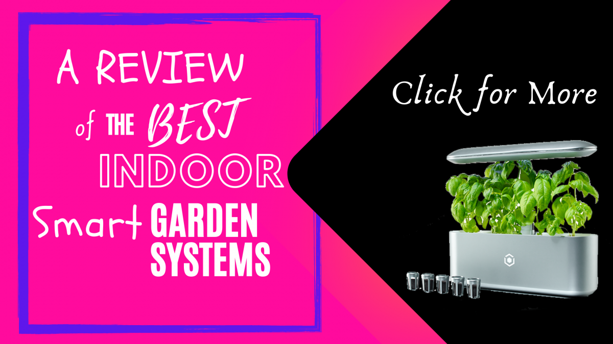 A review of the Best Indoor Smart Garden Systems available on todays market. Ava Byte Grow is demonstrated growing a variety of vegetables, about 12 inches high already!